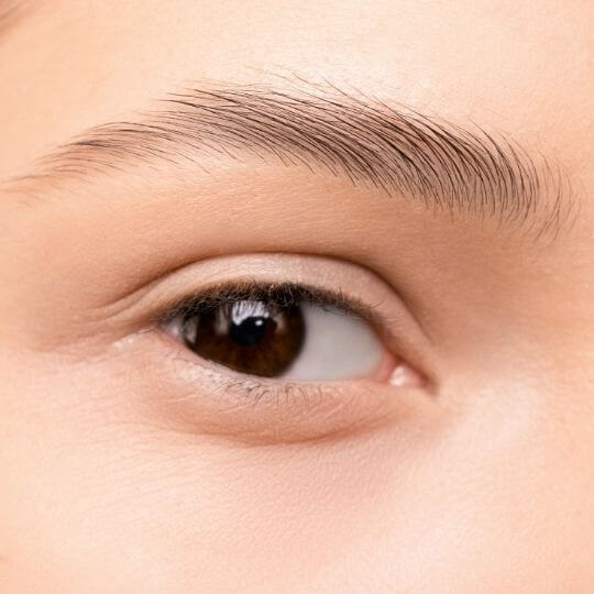 Seh Browlift 3